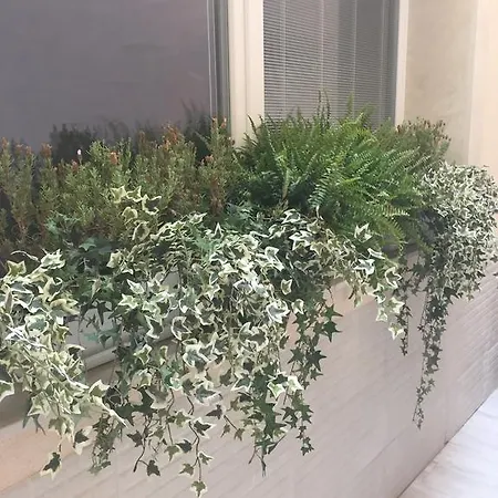 Ortygia בית הארחה סירקוזה